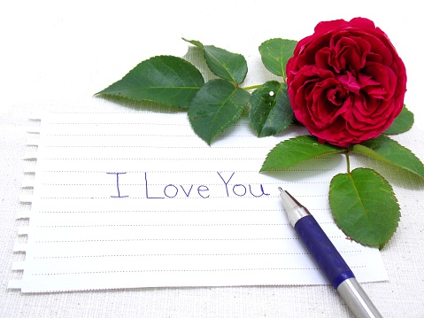 Writing I love you and red rose