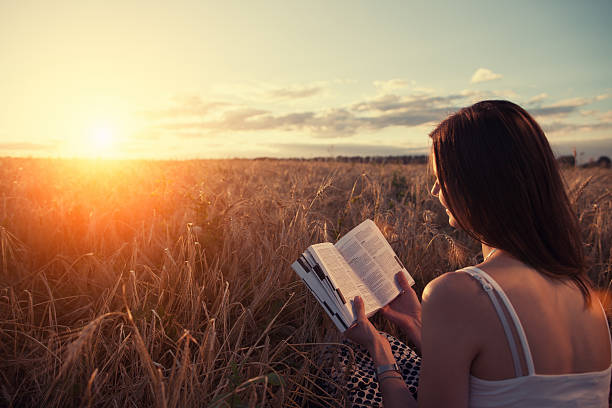 istock Girl reading book at sunset 491965544