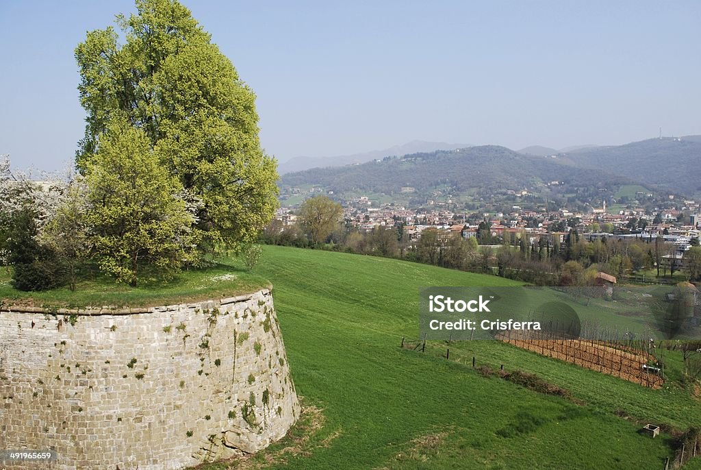 Bergamo paesaggio - Foto stock royalty-free di Albero