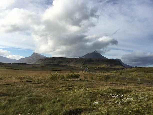 istock Grass field and mountains in Iceland 491971556