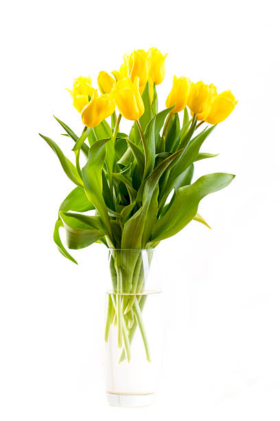 istock bouquet of tulips on a white background 491976268