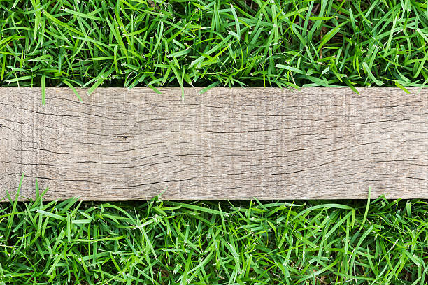 istock grain wood on green grass 491978880