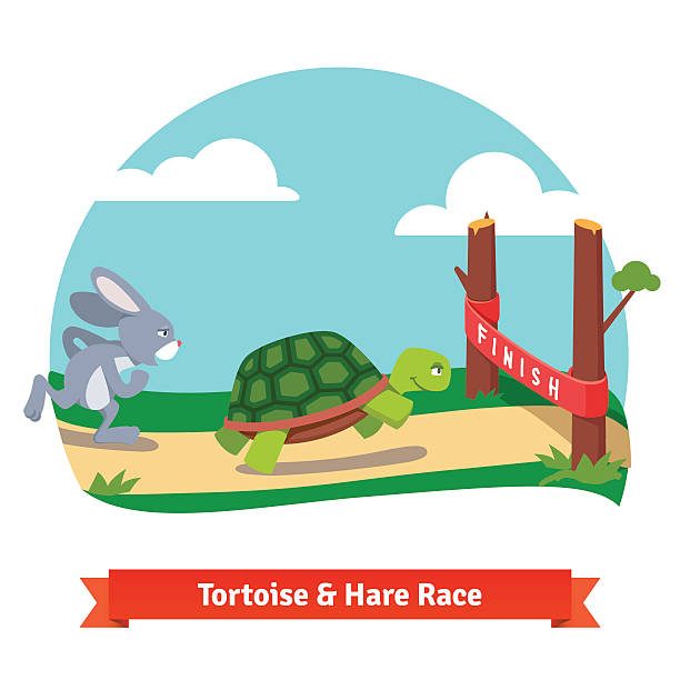 ilustrações de stock, clip art, desenhos animados e ícones de a lebre e a tartaruga corrida em conjunto para ganhar - the hare and the tortoise