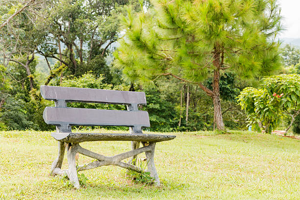istock Bench in beautiful garden background 491987470