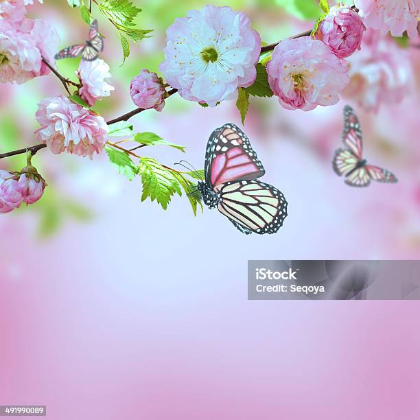 Floral Background Stock Photo - Download Image Now - Botany, Branch - Plant Part, Close-up