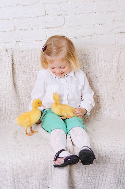 istock Happy baby girl with ducklings 491990185
