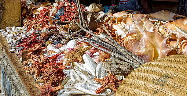 istock Asssorted sea shells at seafood market 491990840