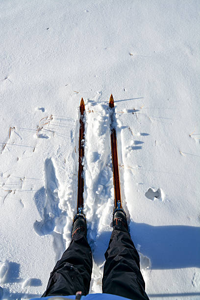 istock Skies are on a ready for use in the snow 491990885