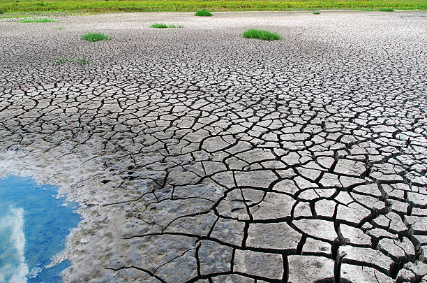 istock desert with wet place on it 491992754