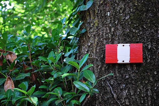 istock Mountain hiking trail sign 491993735