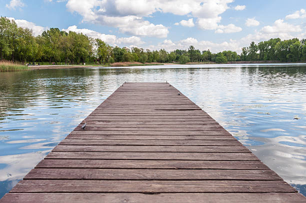 istock Old wooden jetty at a lake 491994225