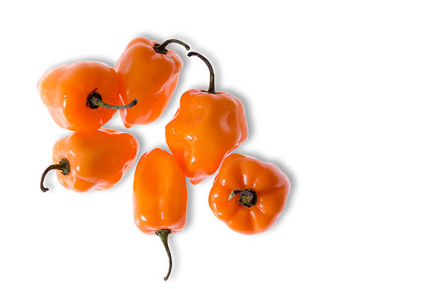 istock Colorful fresh habanero peppers 491995173