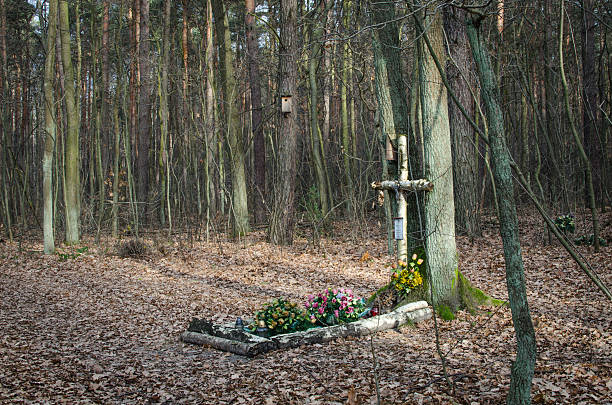 Tomb of the Unknown Person in forest