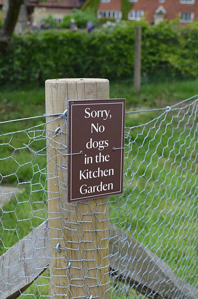 istock No dogs sign. 491997441