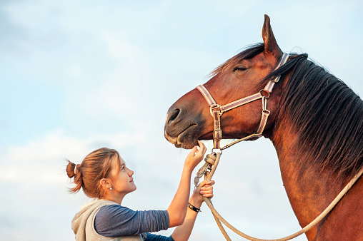 Young cheerful teenage girl stroking big chestnut horse's nose. Vibrant multicolored summertime outdoors horizontal image with filter