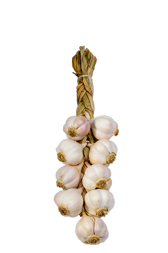 The garlic bunch before you peel the cloves apart