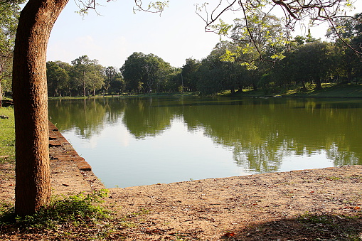 Anuradhapura pond Sri Lanka