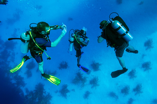 Diving in the crystal clear waters of Sharm el Sheikh in Egypt.