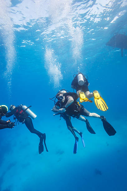 istock Group of divers on 5-min safety stop, Cuba 492011868