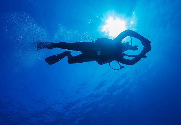 istock Silhouette of diver with sun disk behind 492012826