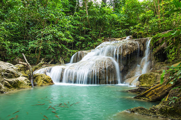 istock Deep forest Waterfall in Kanchanaburi, Thailand 492021149