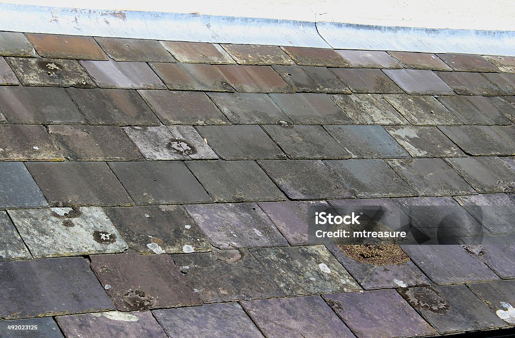 Image of old purple slate roof tiles and lead flashing Photo showing an old roof covered in purple slate tiles.  The tiles are weathered, with lichen and moss, and several have cracked and are starting to fall apart.  Lead flashing forms a waterproof seal between the top of the roof and the wall. Lead Stock Photo