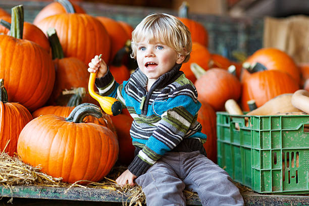istock Little blond boy on pumpkin patch farm. 492023409