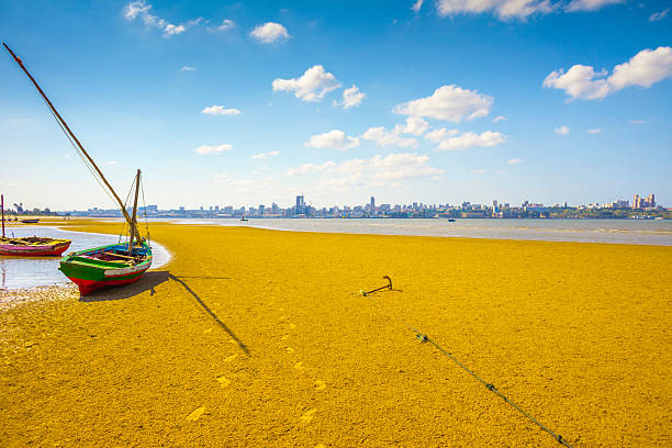 Maputo Bay stock photo