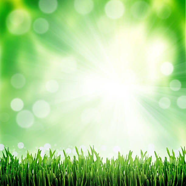 istock green and blue abstract defocused background with sunshine 492024781