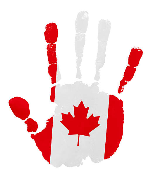 illustrazioni stock, clip art, cartoni animati e icone di tendenza di handprints con bandiera canada - canadian culture canada handprint flag