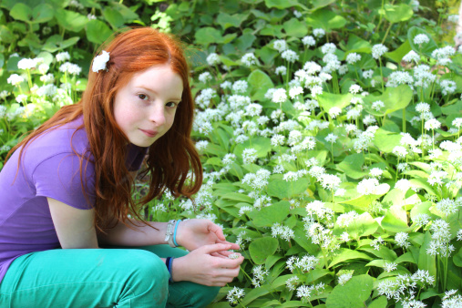 Photo showing a girl with long red hair smelling the extremely fragrant and pungent flowers of wild garlic, growing in a woodland garden setting in the dappled shade / sunlight.