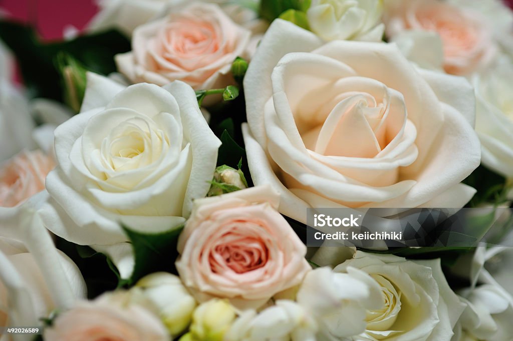 DECORACIÓN CON FLORES - Foto de stock de Arreglo floral libre de derechos