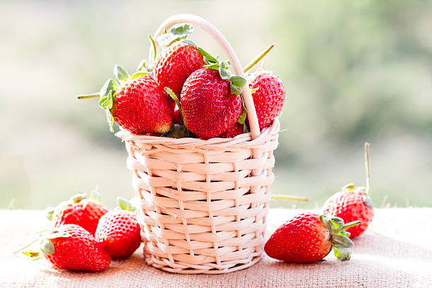 istock strawberries in natural background 492026951