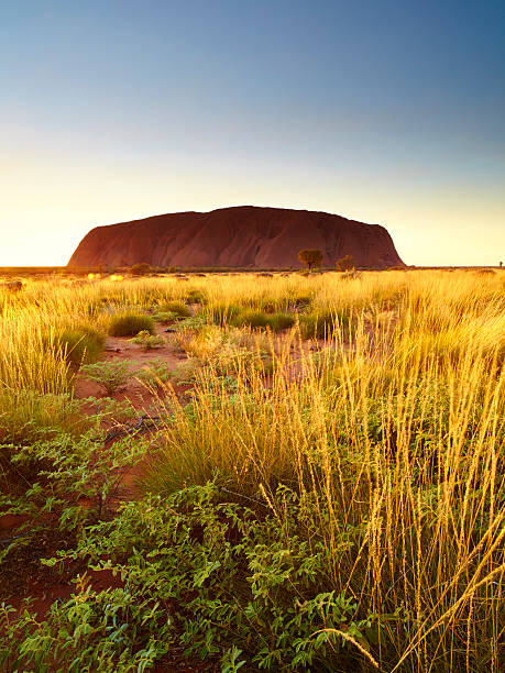 aube au uluru - uluru australia northern territory sunrise photos et images de collection