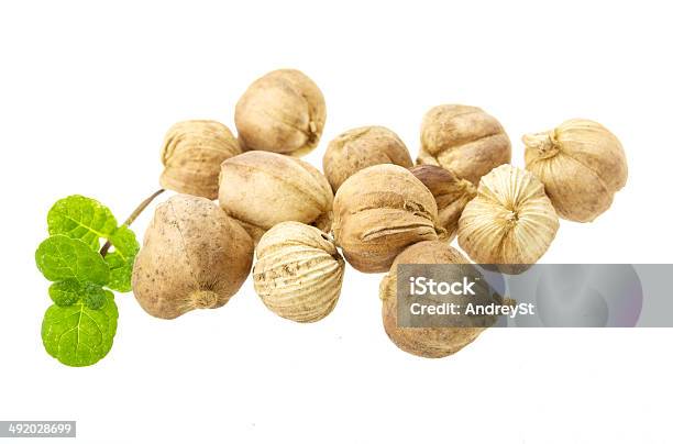 Cardamom Stock Photo - Download Image Now - Cardamom, Close-up, Condiment