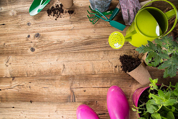 istock Outdoor gardening tools and herbs 492028861