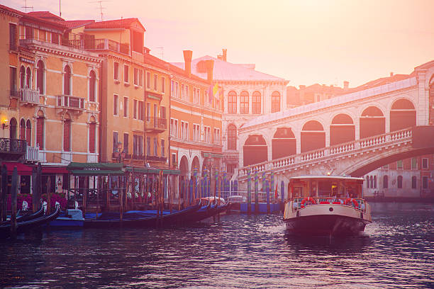 istock Rialto Bridge in Venice 492028929