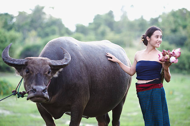istock thai ancient young women with buffalo on rural 492030548