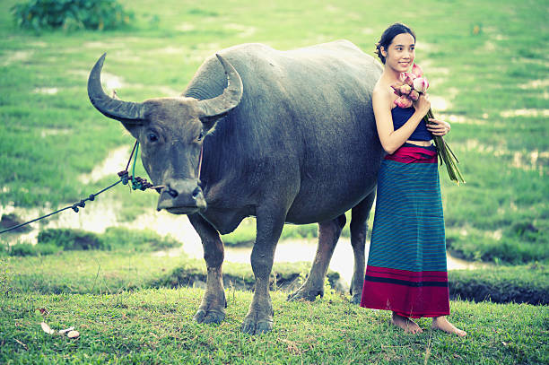 istock thai ancient young women with buffalo on rural 492030604