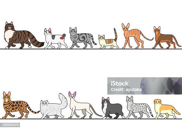 Set Berbagai Kucing Berjalan Sejalan Ilustrasi Stok - Unduh Gambar