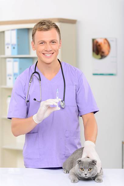 istock Positive vet examining a cat 492032052