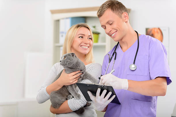 istock Positive vet examining a cat 492032084