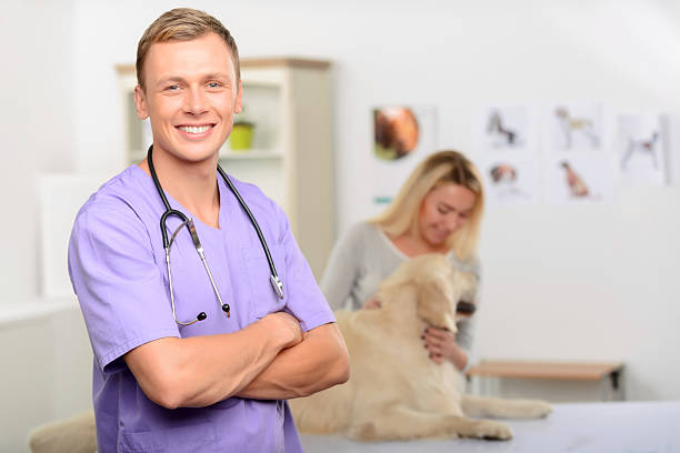 istock Professional vet examining a dog 492032294