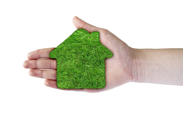 istock Green grass home icon in his hand 492033748
