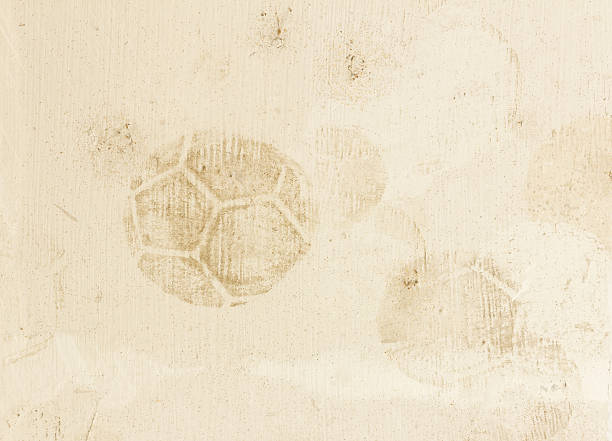 istock soccer ball print on wall background 492035150