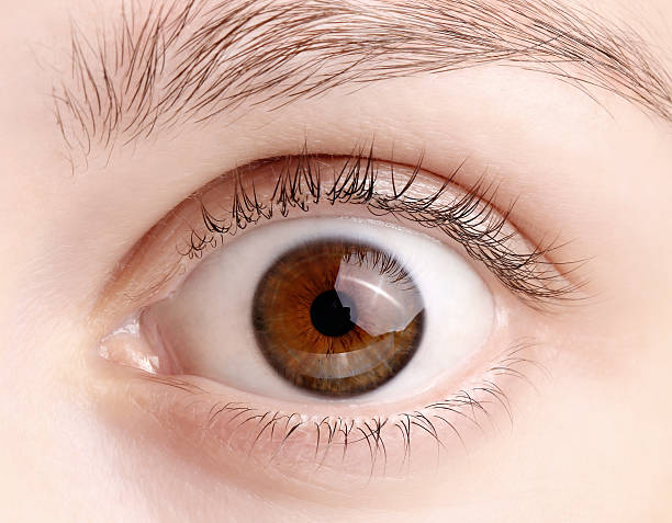 istock Macro image of wide open female brown eye 492035186