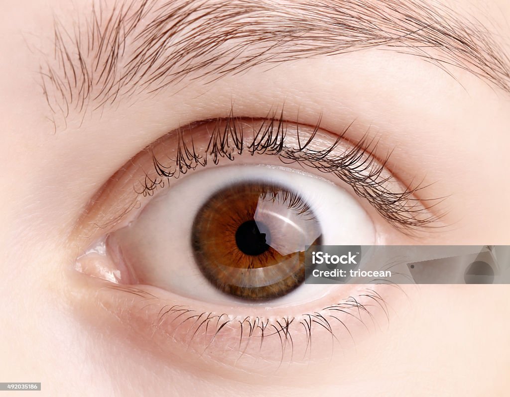 Macro image of wide open female brown eye Eye Stock Photo