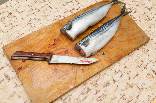 woman chef slices a fish mackrel on a wooden Board on the kitchen table