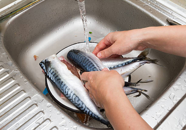 istock Woman chef cleans fish mackerel in water 492036378