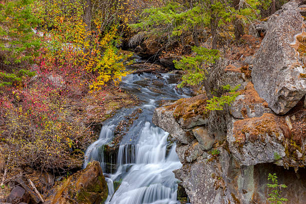 istock Vegetation at top of waterfall. 492036704